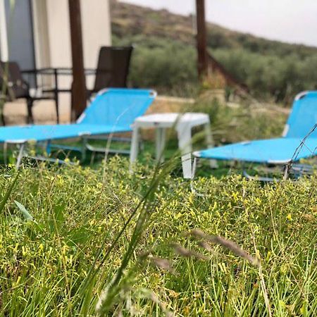Villa Oniro Kreta Καλαμάκι Εξωτερικό φωτογραφία