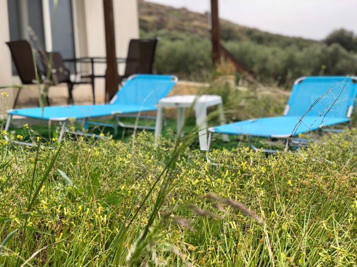 Villa Oniro Kreta Καλαμάκι Εξωτερικό φωτογραφία